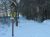 lyžařská stopa na Vranovsku